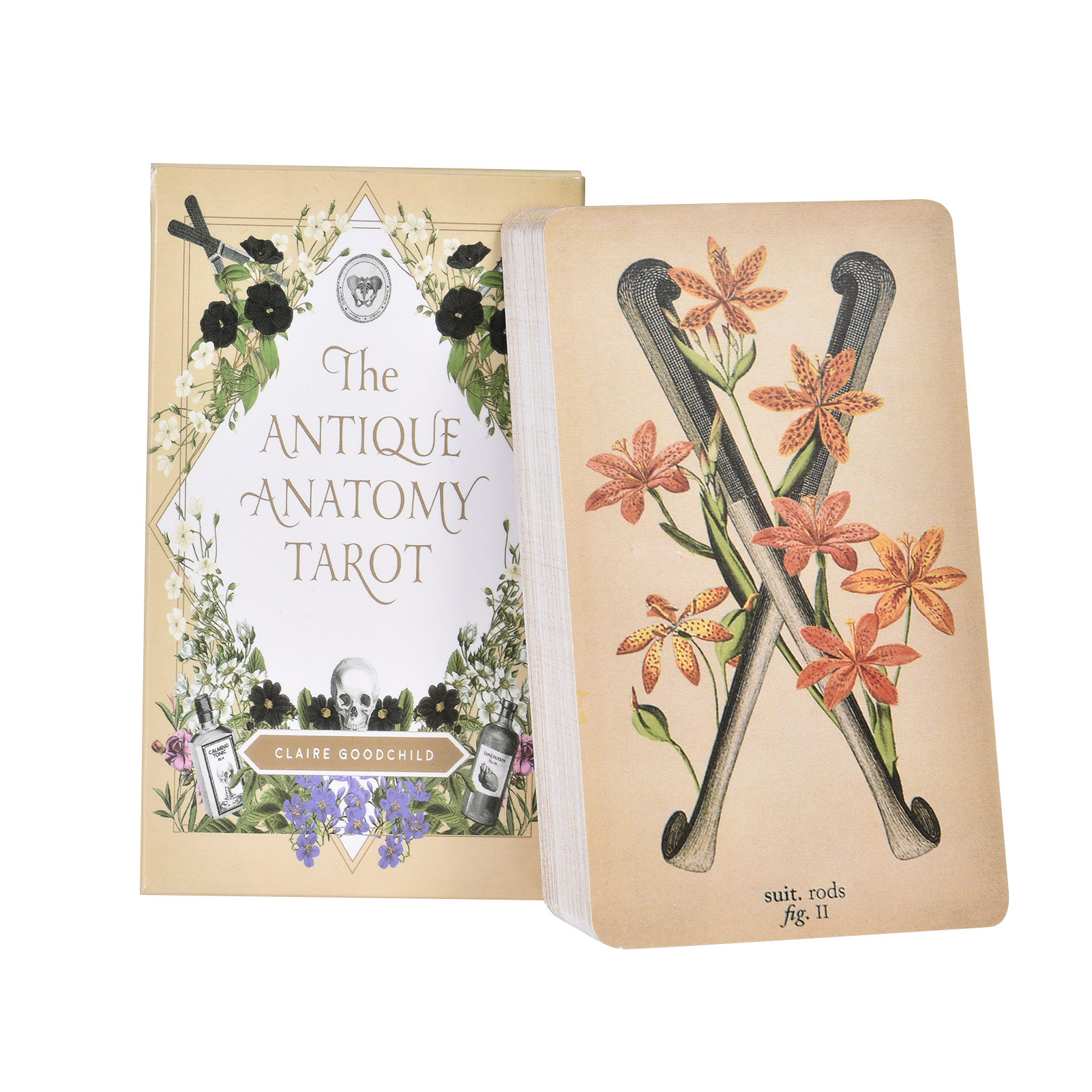 The Antique Anatomy Tarot Card - đánh giá và giá Tarot Cards Deck With Guidebook